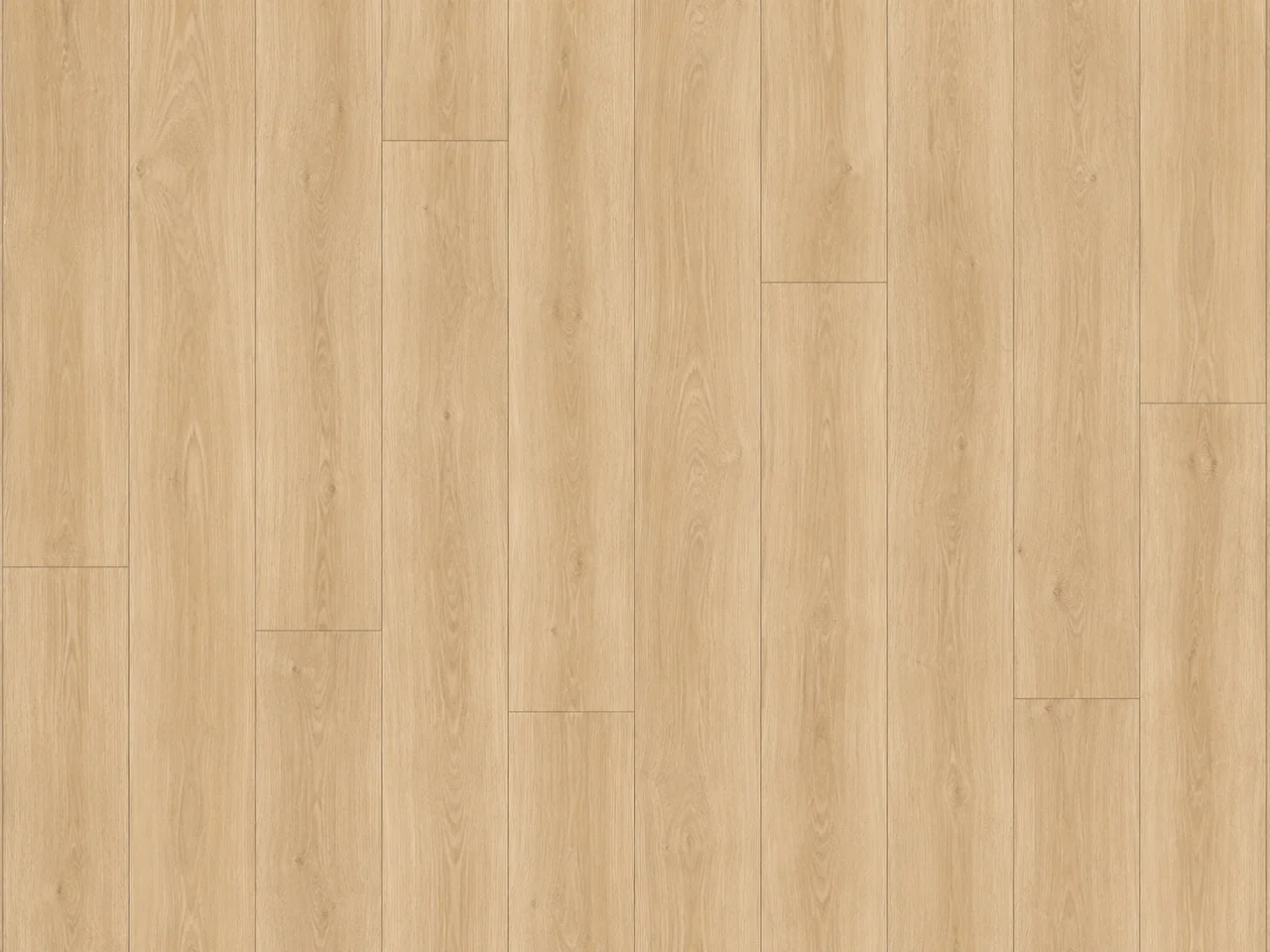 Flat-lay of natural pale golden oak-look luxury vinyl planks
