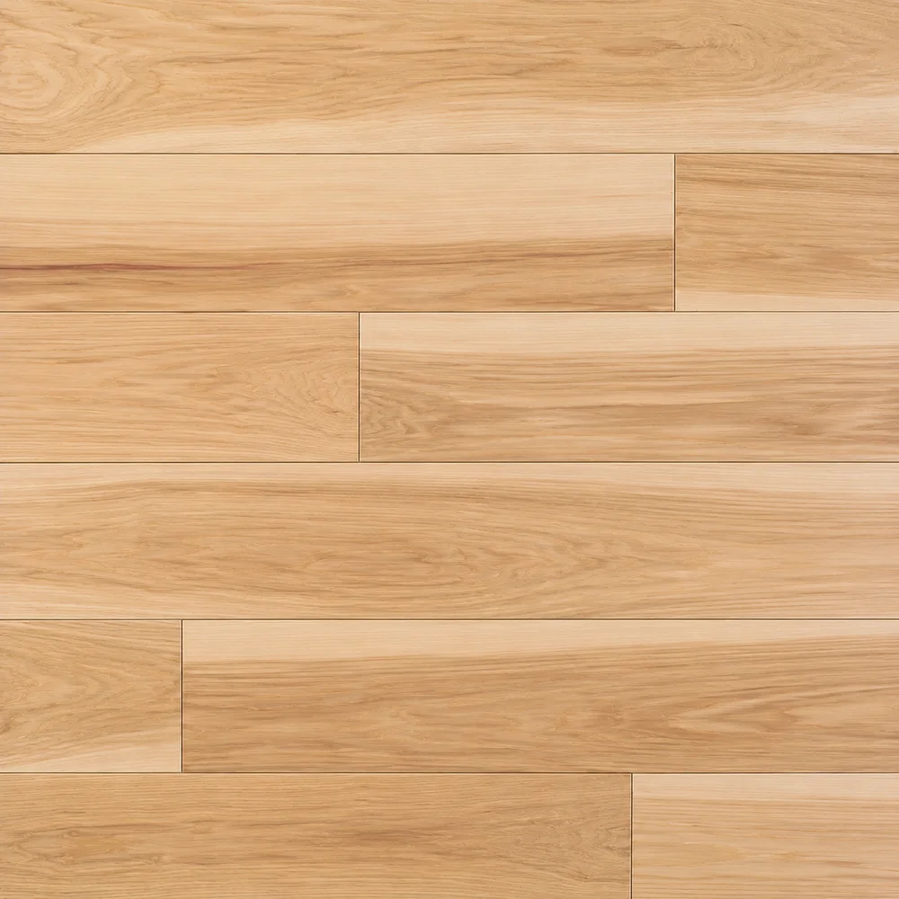 Hickory close-up