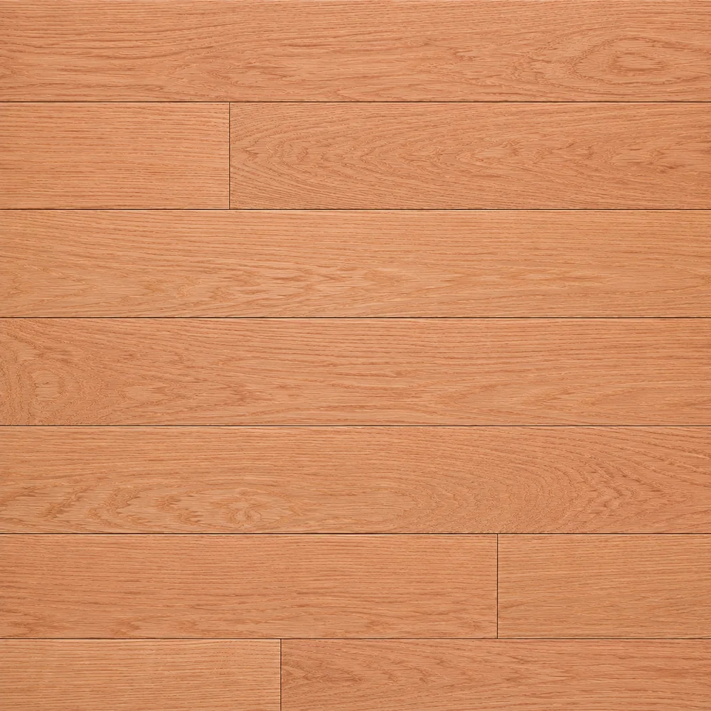 Red Oak close-up