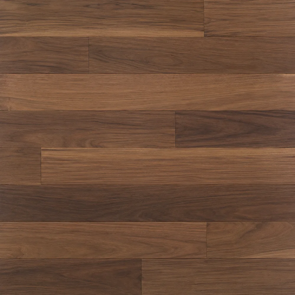 American Black Walnut close-up